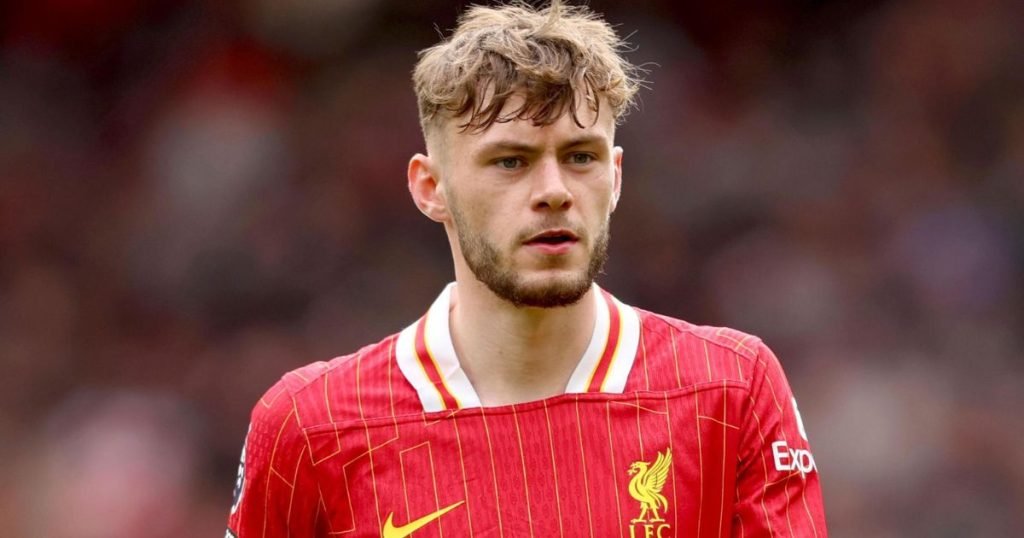 ประวัติ คอเนอร์ แบรดลีย์