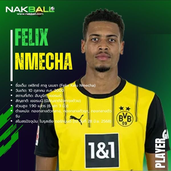 นักบอล เฟลิกซ์ นเมชา