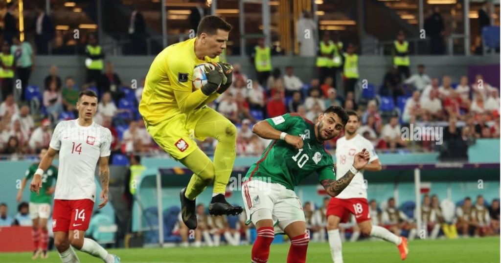 เส้นทางในนามทีมชาติ วอยเชค เชสนี่