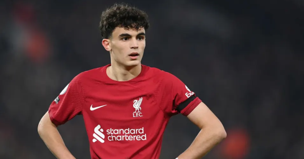 ประวัติ สเตฟาน บายเซติช