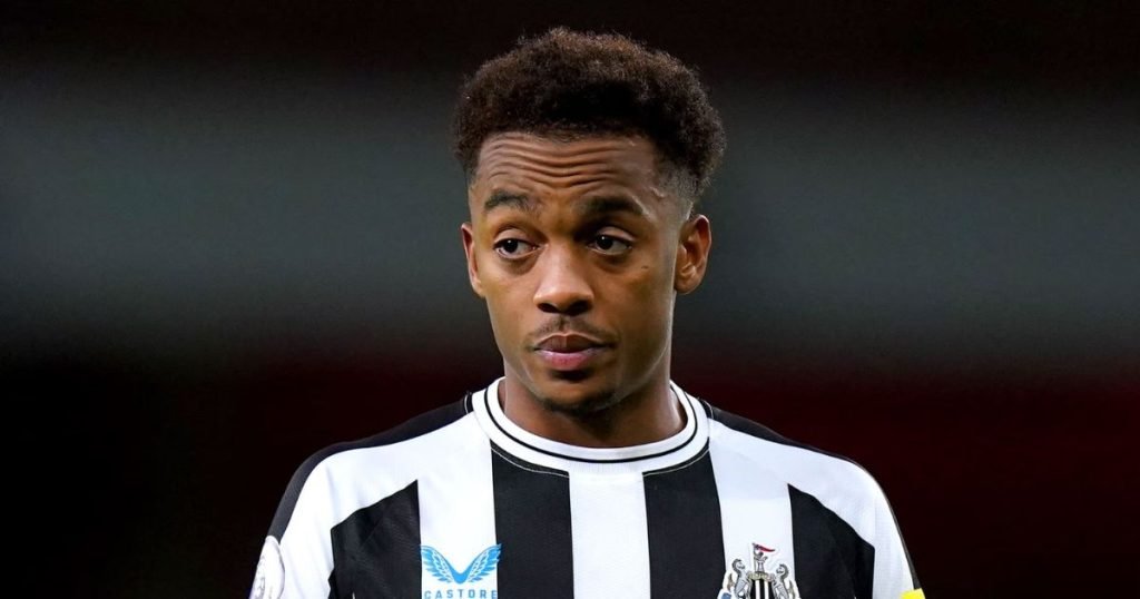 ประวัติ โจ วิลล็อค