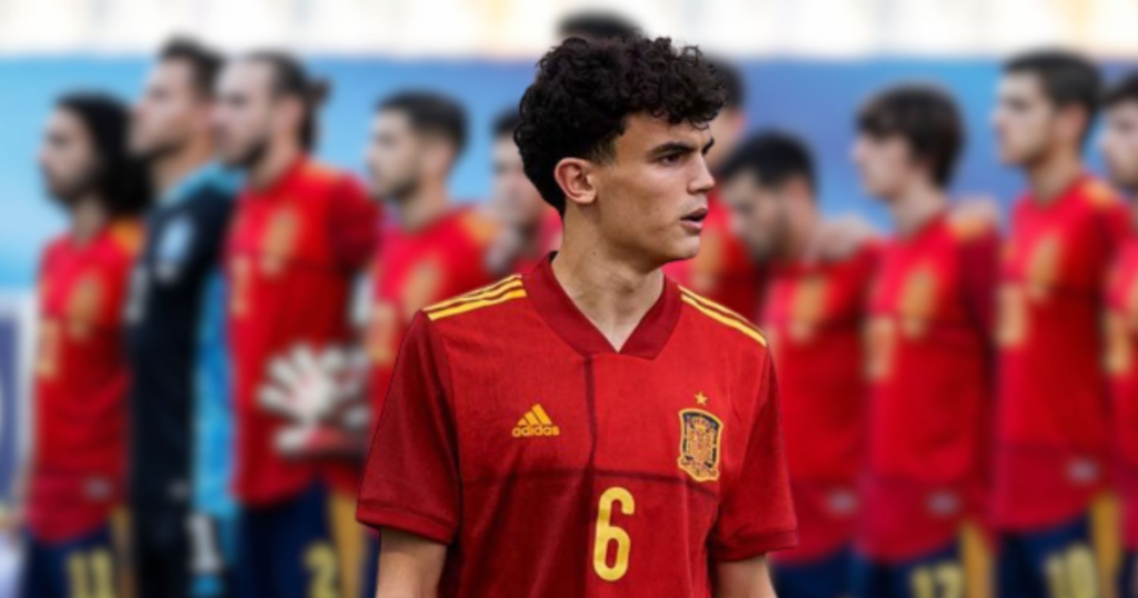 เส้นทางในนามทีมชาติ สเตฟาน บายเซติช