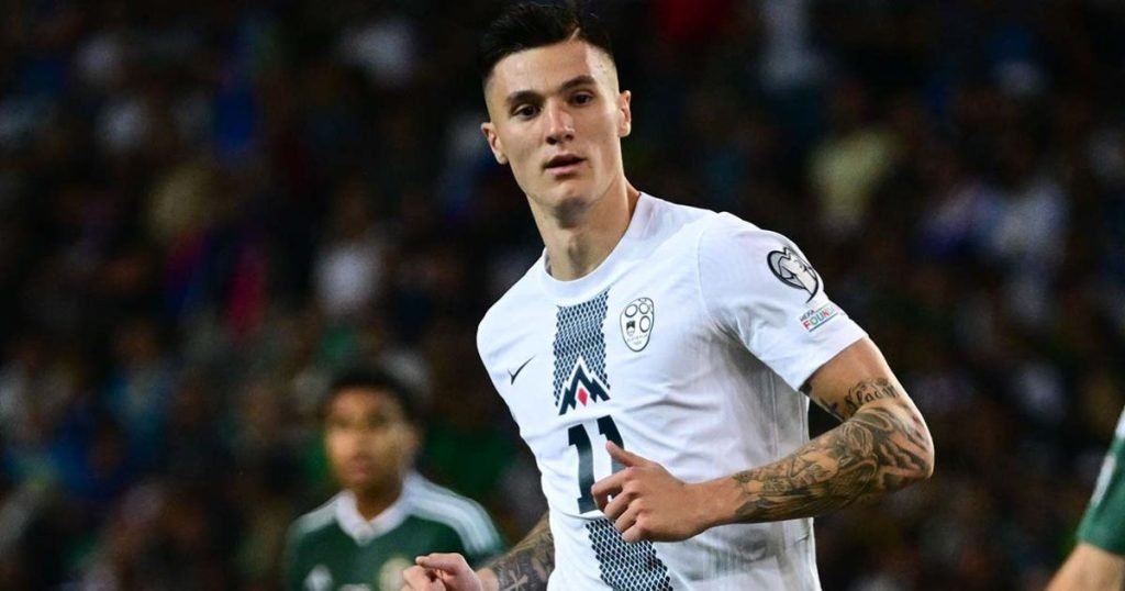 เส้นทางในนามทีมชาติ เบนยามิน เชสโก้