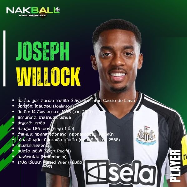 โจ วิลล็อค