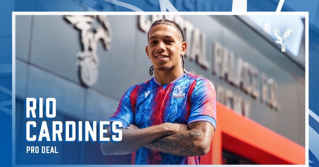 สไตล์การเล่น ริโอ คาร์ดินส์