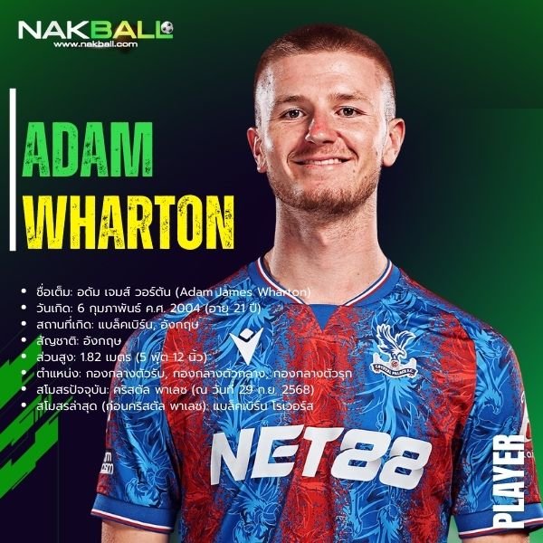 อดัม วอร์ตัน