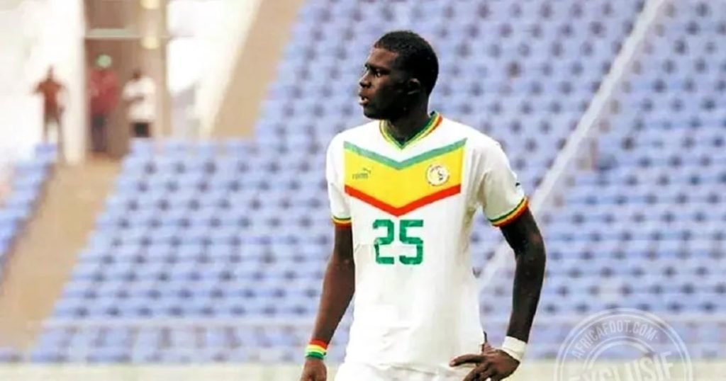 เส้นทางในนามทีมชาติ เอล ฮัจ มาลิก จีอุฟ