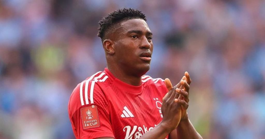 ประวัติ ไทโว อโวนิยี่