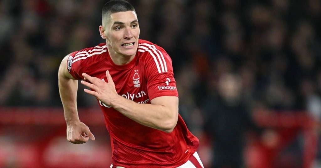 สไตล์การเล่น นิโคลา มิเลนโควิช