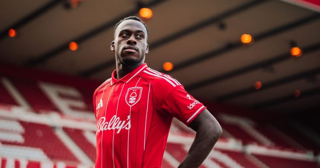 สไตล์การเล่น อาร์โน คาลิมูอ็องโด