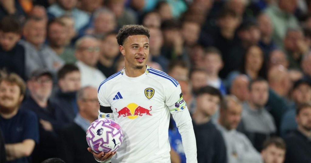 สไตล์การเล่น อีธาน อัมบาดู