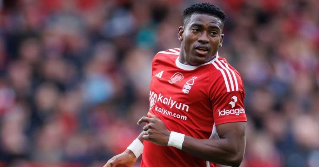 สไตล์การเล่น ไทโว อโวนิยี่