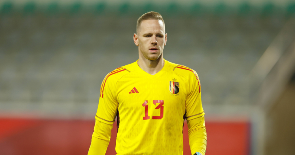 เส้นทางในนามทีมชาติ มัทซ์ เซลส์