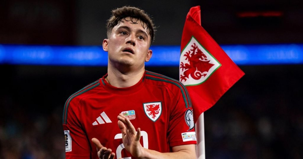 เส้นทางในนามทีมชาติ แดเนียล เจมส์