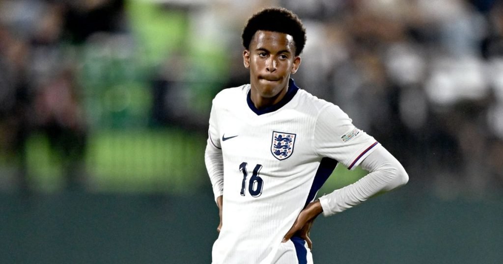 เส้นทางในนามทีมชาติ ลูอิส เพจ